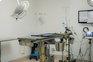 Surgery & Anesthesia