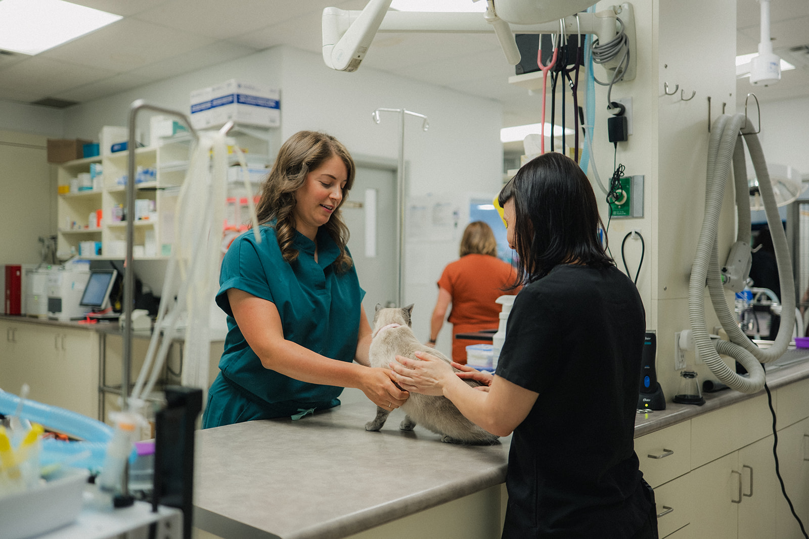 Experience You Can Trust