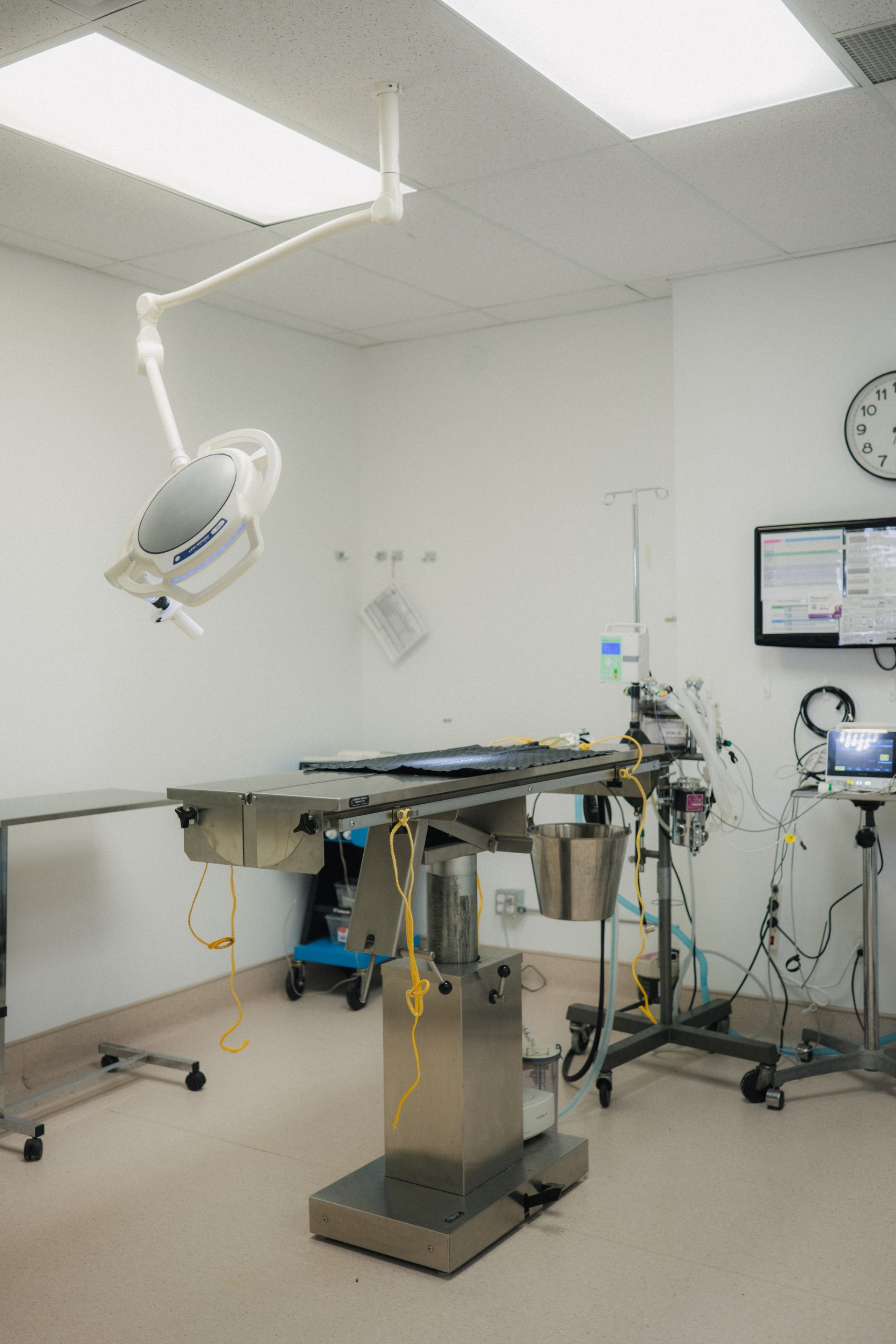 Surgery & Anesthesia